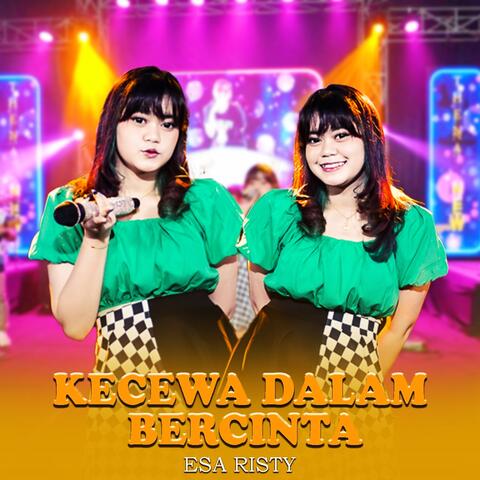 Kecewa Dalam Bercinta