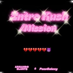 Mission