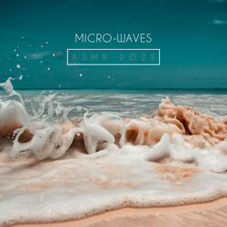 Micro-Waves