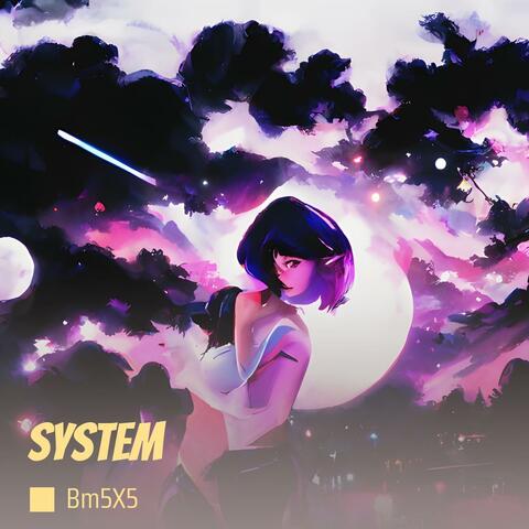 System