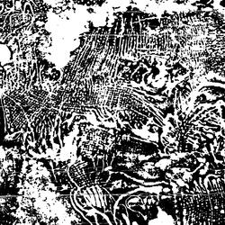Coil