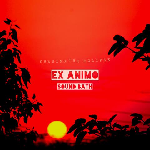Ex Animo (Sound Bath)