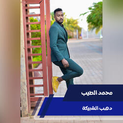 دهب الشبيكة
