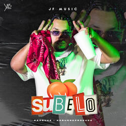 Súbelo