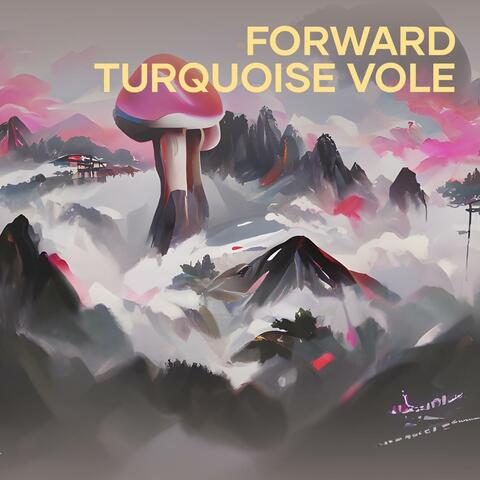Forward Turquoise Vole