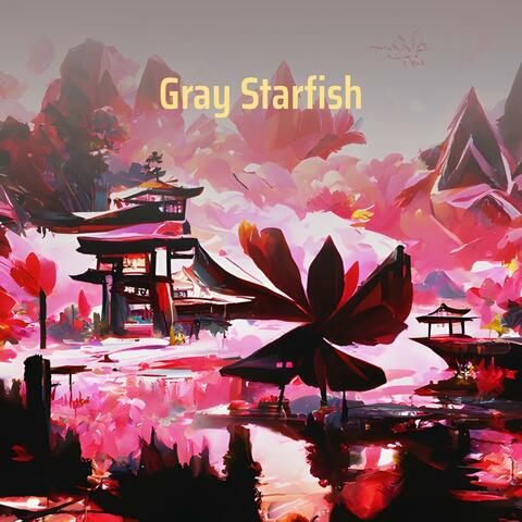 Gray Starfish