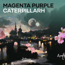Magenta Purple Caterpillarh