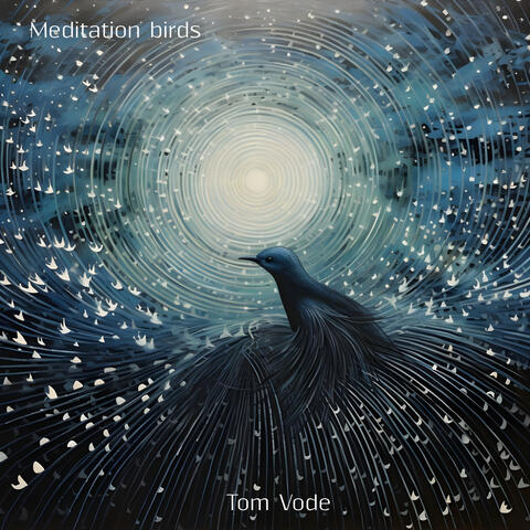 Meditation birds