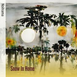 Snow in Home