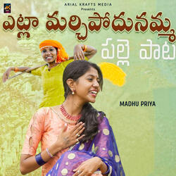 Etla Marichipoyadunamma