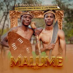 Malume 2.0