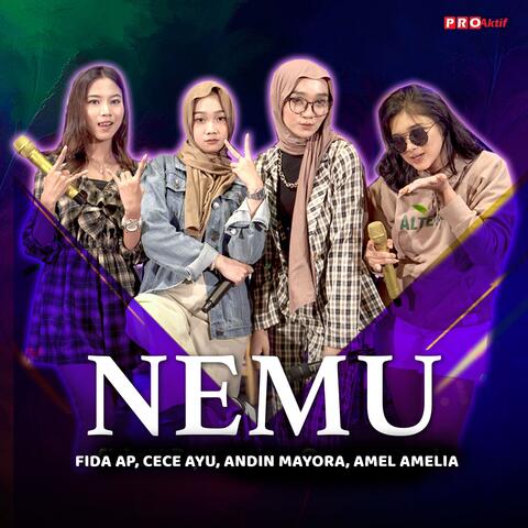 Nemu