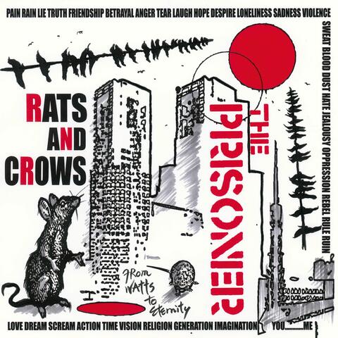 RATS AND CROWS