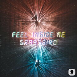 Feel Inside Me