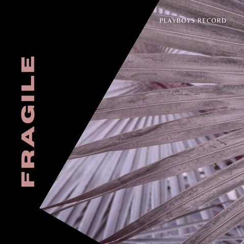 Fragile