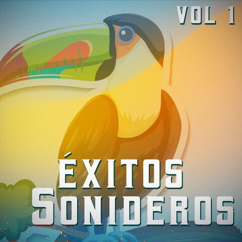 Exitos Sonideros vol 1