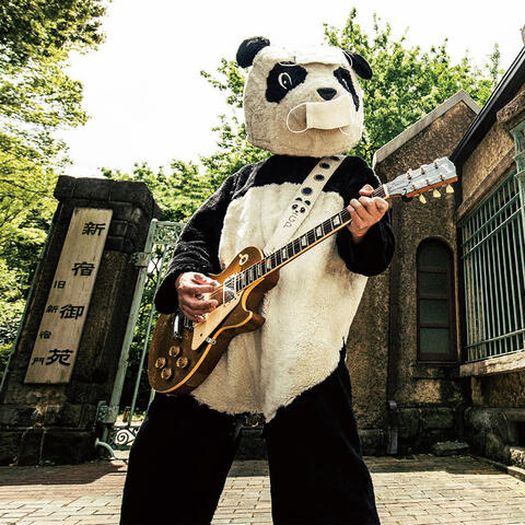 Guitar Panda No Rock and Roll Pandemic