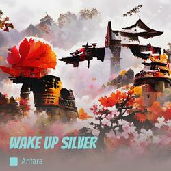 Wake up Silver