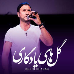 Gulhay e YaadGaari
