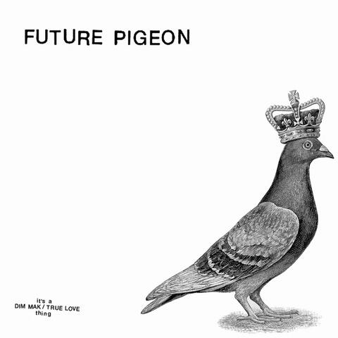Future Pigeon