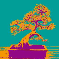 Azalea Bonsai