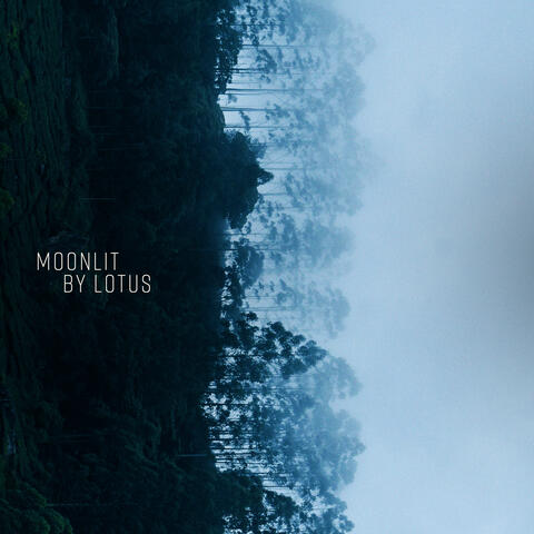 Moonlit