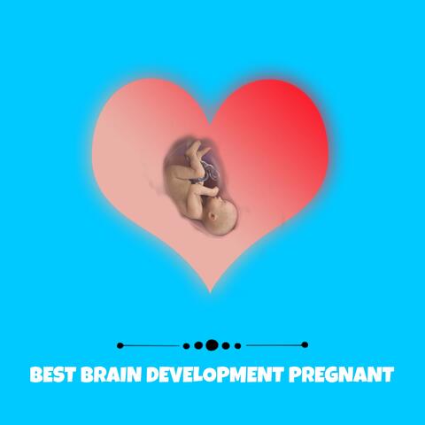 Best Brain Development Pregnant