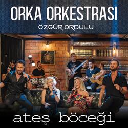 Ateş Böceği