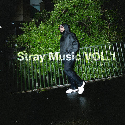 Stray Music Vol.1