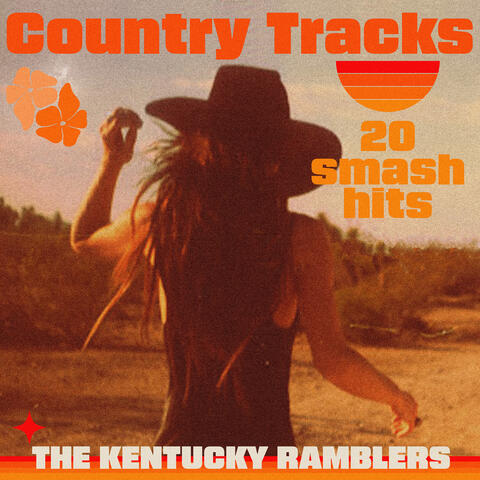 Country Tracks - 20 Smash Hits