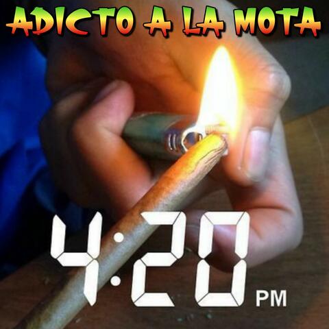 Adicto A La Mota