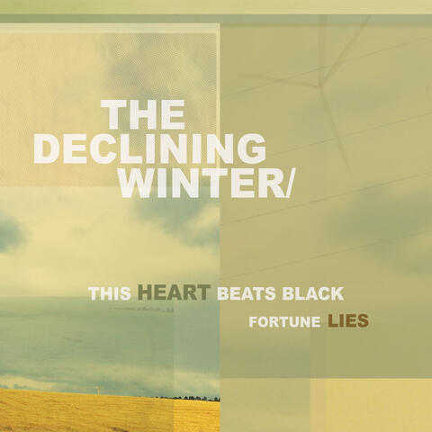 This Heart Beats Black
