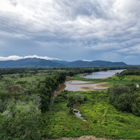 Lost in Borneo ( Izza Lullaby 2 )