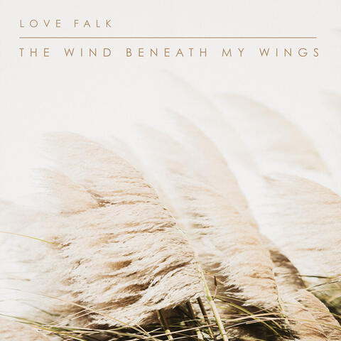 The Wind Beneath My Wings