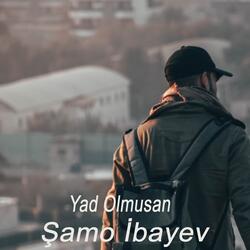 Yad Olmusan