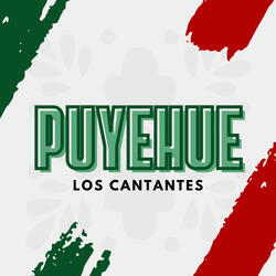 Puyehue