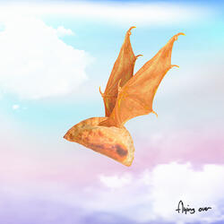 Flying Over