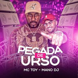 Pegada de Urso