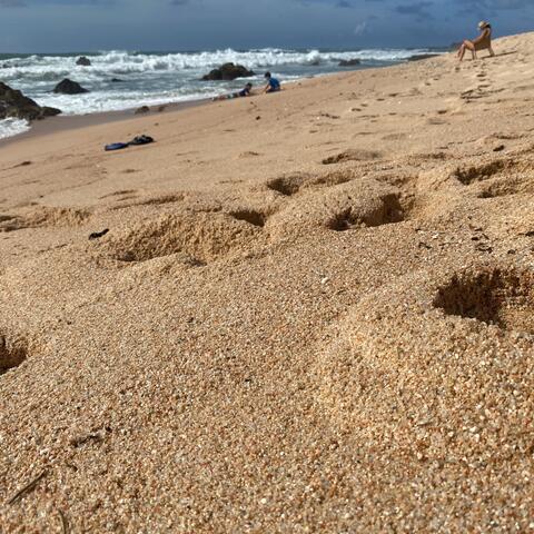 Uncle Negus - Sin Zapatos En La Playa