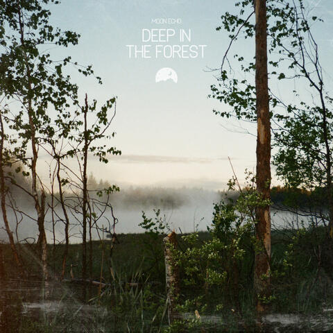 Deep in the Forest