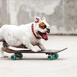 HardFlip