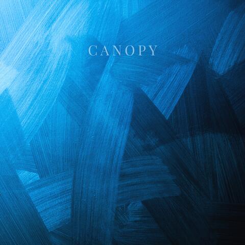 Canopy