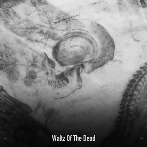 !!!!" Waltz Of The Dead "!!!!