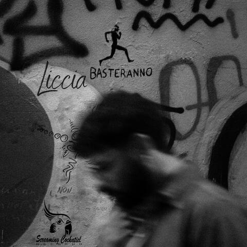 Basteranno