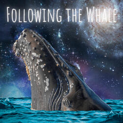 Following The Whale