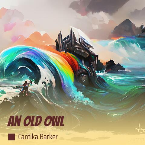 An Old Owl