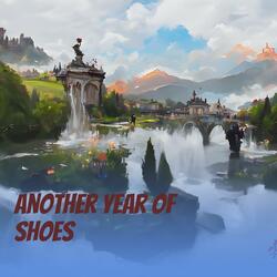 Another Year of Shoes