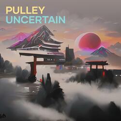 Pulley Uncertain