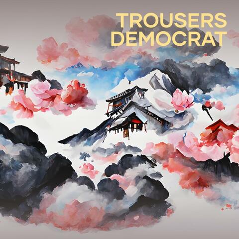 Trousers Democrat