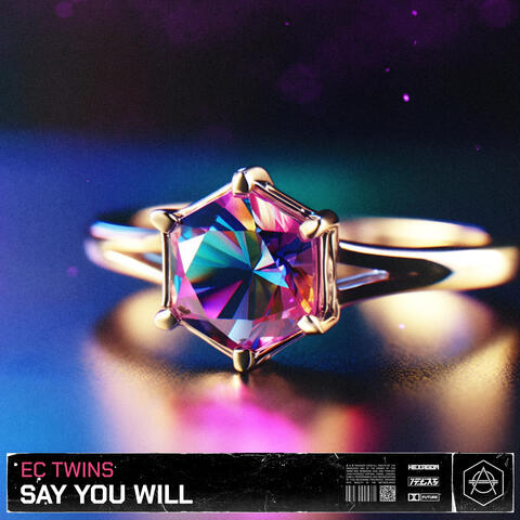 SAY YOU WILL